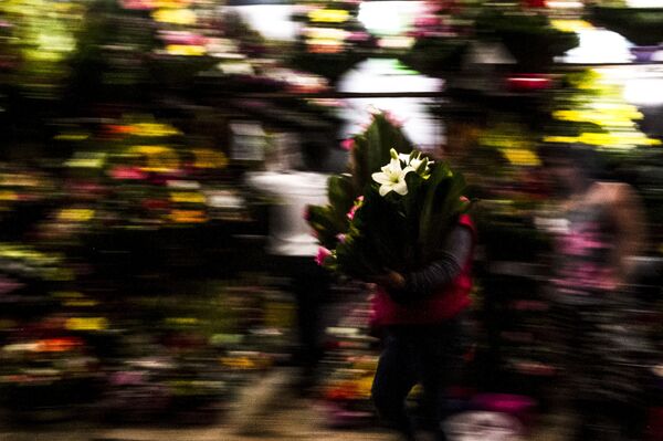 Conoce el principal mercado de flores de Ciudad de México (fotos) - Sputnik Mundo