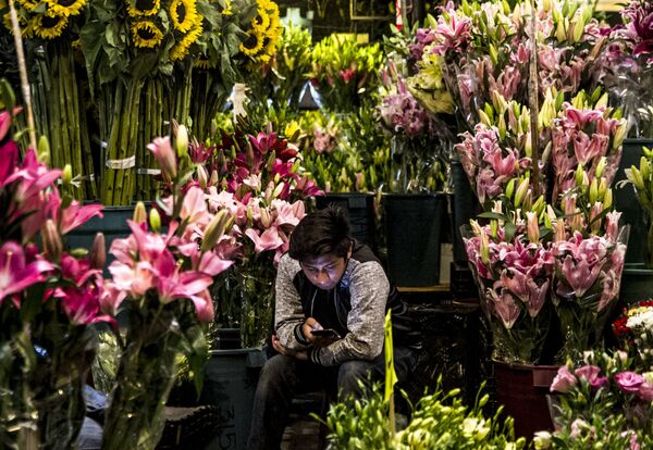 Conoce el principal mercado de flores de Ciudad de México (fotos) - Sputnik Mundo