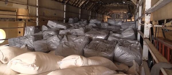 Ayuda humanitaria rusa llega a Siria - Sputnik Mundo