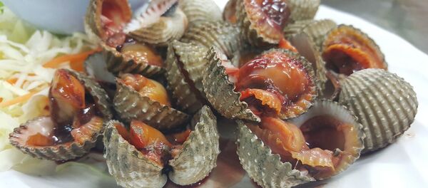 Vieiras (imagen referencial) - Sputnik Mundo