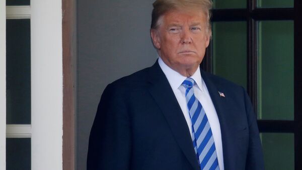 Donald Trump, presidente de EEUU Donald Trump, presidente de EEUU - Sputnik Mundo