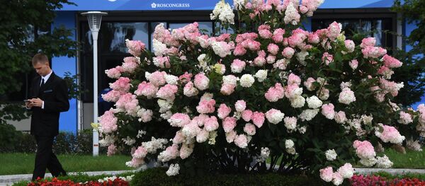 Preparación para el Foro Económico Oriental en Vladivostok, Rusia Preparación para el Foro Económico Oriental en Vladivostok, Rusia - Sputnik Mundo