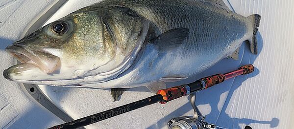 Pesca artesanal (imagen referencial) - Sputnik Mundo