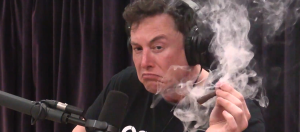 Elon Musk fuma marihuana - Sputnik Mundo