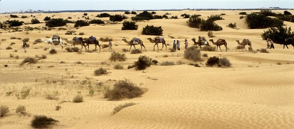 El desierto del Sahara - Sputnik Mundo