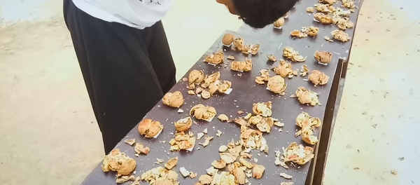 S. Navin Kumar rompe un total de 217 nueces utilizando su cabeza - Sputnik Mundo