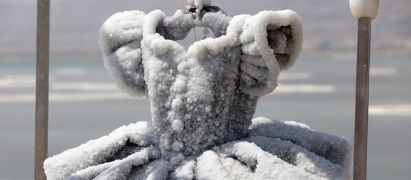 El tutú de una bailarina, convertido en una escultura de 200 kilos de capas de sal, obra de la artista israelí Sigalit Landau - Sputnik Mundo