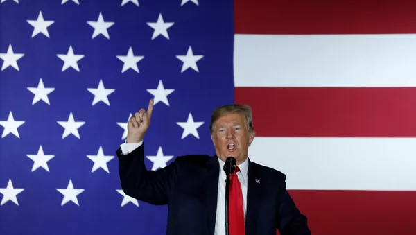 Donald Trump, presidente de EEUU
