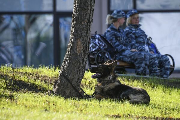 El Foro Económico Oriental, sin corbata: caviar y hospitalidad rusa - Sputnik Mundo