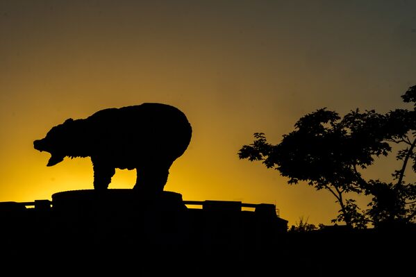 El Foro Económico Oriental, sin corbata: caviar y hospitalidad rusa - Sputnik Mundo