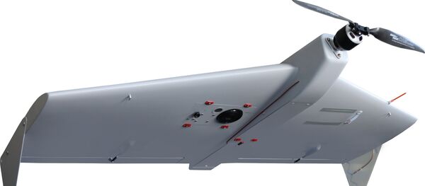 El dron ZALA 421-10 El dron ZALA 421-10 - Sputnik Mundo