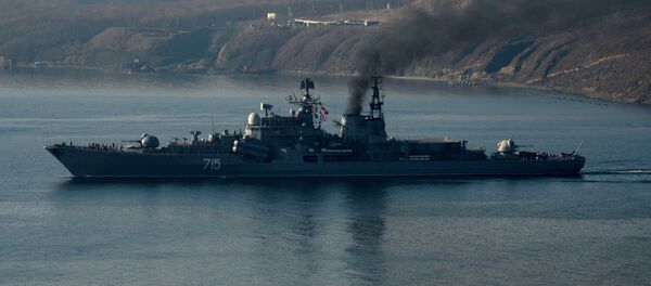 El destructor Bistri, foto de archivo - Sputnik Mundo