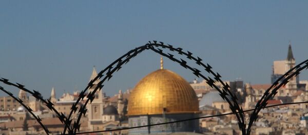 Alambre de púas en un paisaje de Jerusalén - Sputnik Mundo
