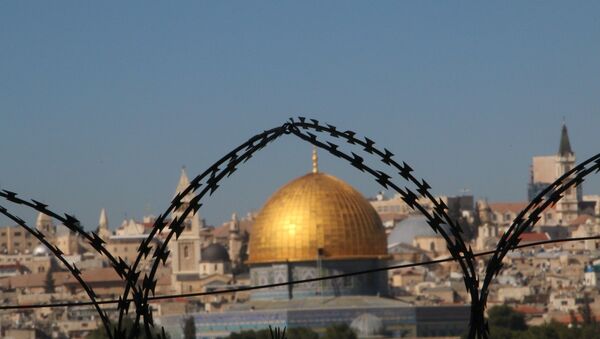 Alambre de púas en un paisaje de Jerusalén - Sputnik Mundo