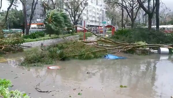 Supertifón Mangkhut en Hong Kong - Sputnik Mundo