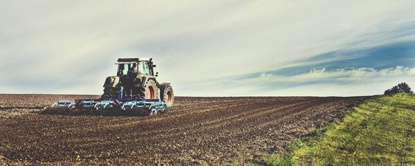 Producción agrícola - Sputnik Mundo