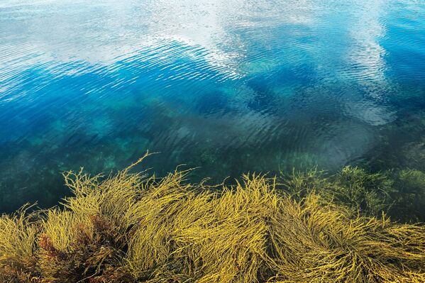 Múrmansk, la 'joya' ártica de Rusia - Sputnik Mundo