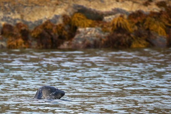 Múrmansk, la 'joya' ártica de Rusia - Sputnik Mundo
