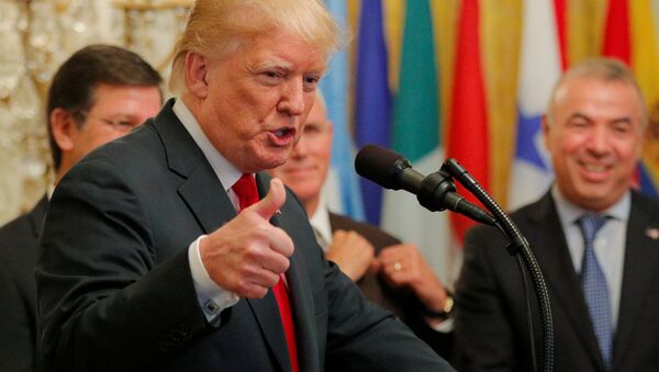 Donald Trump, presidente de EEUU - Sputnik Mundo