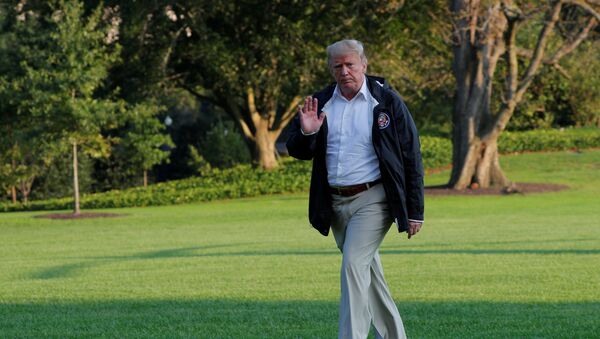 Donald Trump, presidente de EEUU - Sputnik Mundo