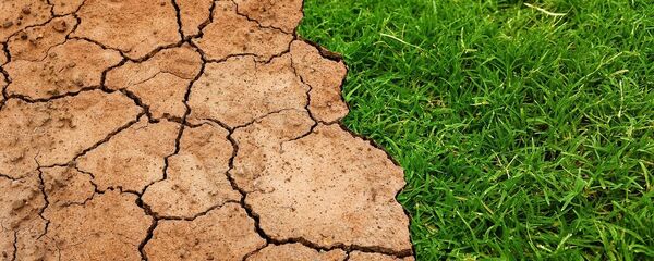 Sequía se adelanta Sequía se adelanta - Sputnik Mundo