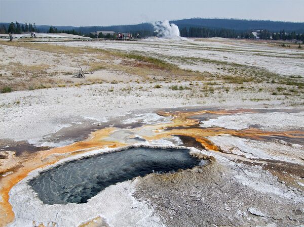 La fuente termal Ear Spring, en Yellowstone (EEUU) - Sputnik Mundo