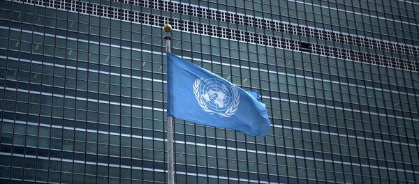 Bandera de la ONU - Sputnik Mundo