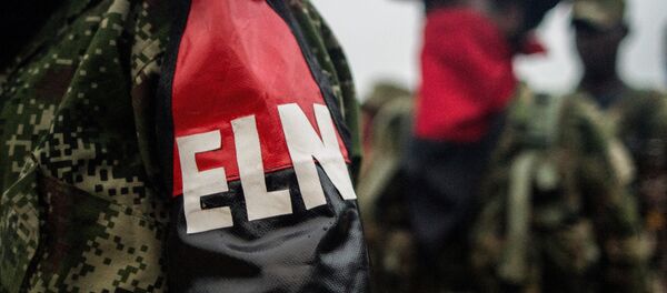 Logo de ELN (imagen referencfial) - Sputnik Mundo