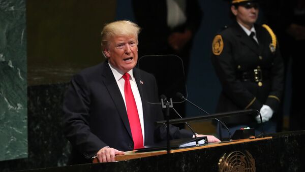 Donald Trump, presidente de EEUU - Sputnik Mundo