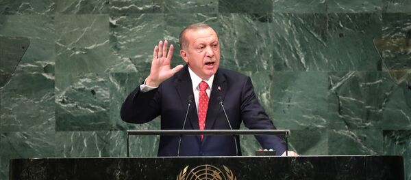 El presidente de Turquía, Recep Tayyip Erdogan, en la Asamblea General de la ONU El presidente de Turquía, Recep Tayyip Erdogan, en la Asamblea General de la ONU - Sputnik Mundo
