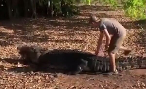 Un biólogo monta un cocodrilo para hacer foto - Sputnik Mundo