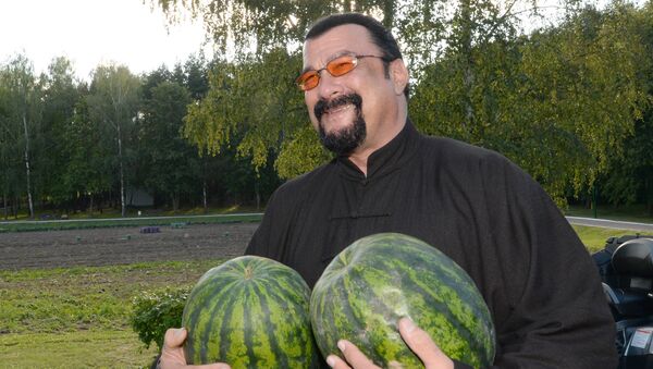 Steven Seagal, actor estadounidense - Sputnik Mundo