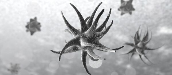 Un microbio, referencial - Sputnik Mundo