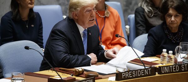 Donald Trump, presidente de EEUU en el Consejo de Seguridad de la ONU - Sputnik Mundo