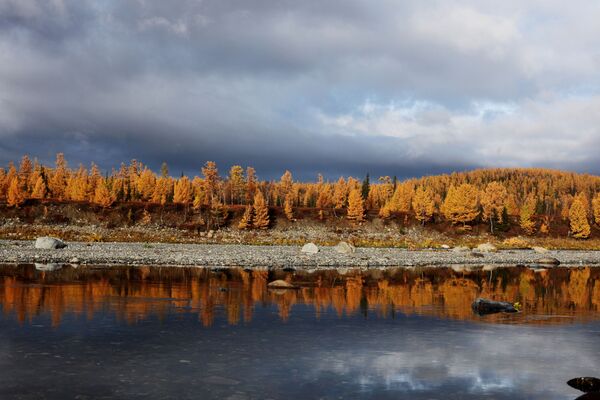 ¿Qué es el otoño boreal? Los mejores paisajes de Rusia, en imágenes - Sputnik Mundo