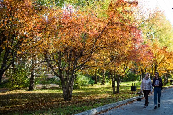 ¿Qué es el otoño boreal? Los mejores paisajes de Rusia, en imágenes - Sputnik Mundo