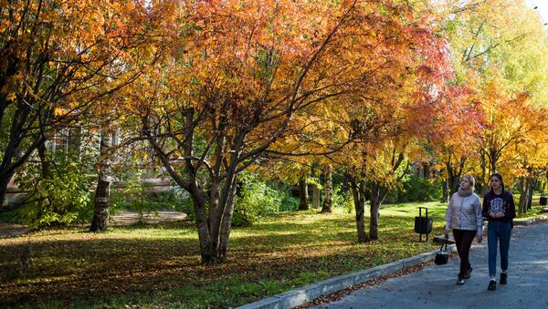 ¿Qué es el otoño boreal? Los mejores paisajes de Rusia, en imágenes - Sputnik Mundo