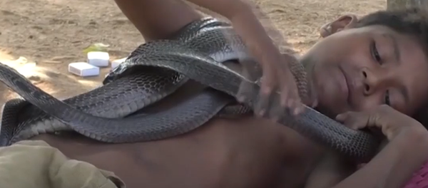 Este pequeño encantador de serpientes no los dejará indiferente - Sputnik Mundo