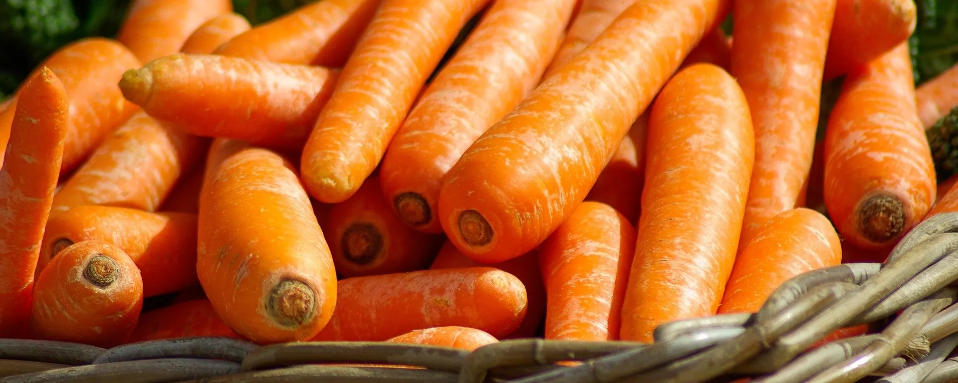 Zanahorias Zanahorias - Sputnik Mundo, 1920, 03.08.2021