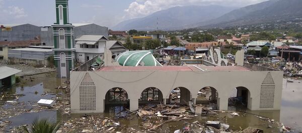 Las consecuncias del terremoto en Indonesia - Sputnik Mundo