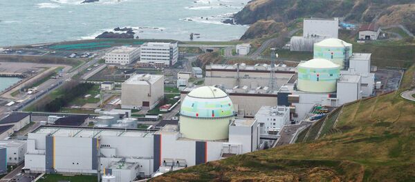 Una central de energía nuclear en Japón, imagen referencial - Sputnik Mundo