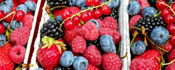 Unas bayas, referencial - Sputnik Mundo