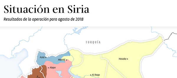 Resultados de los tres años de la operación rusa en Siria - Sputnik Mundo