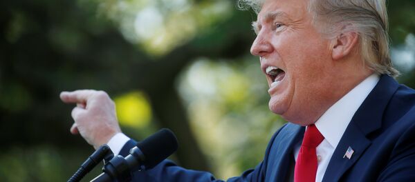 Donald Trump, presidente de EEUU - Sputnik Mundo