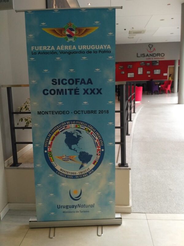 La reunión del Comité del Sistema de Cooperación de Fuerzas Aéreas Americanas - Sputnik Mundo