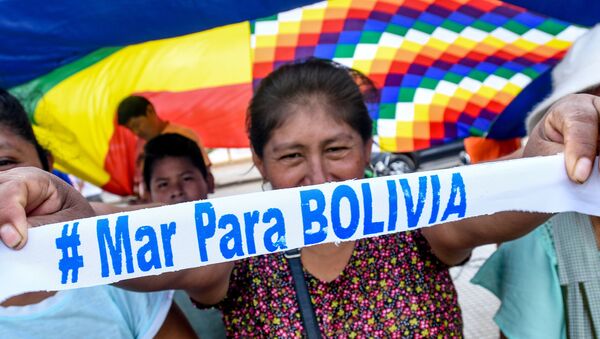 Una mujer sostiene un cartel en la vigilia de la ciudad de Santa cruz ante en espera del fallo de La Haya - Sputnik Mundo