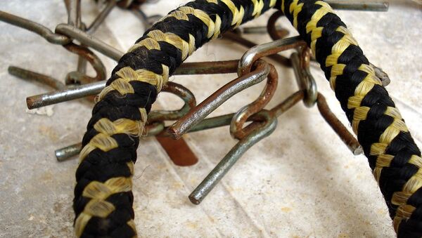 Una correa - Sputnik Mundo