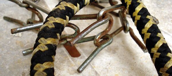 Una correa Una correa - Sputnik Mundo