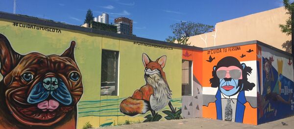 Murales en el barrio de Palermo, Buenos Aires, Argentina - Sputnik Mundo