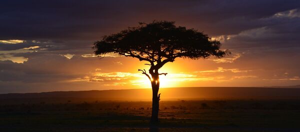 África, imagen referencial - Sputnik Mundo